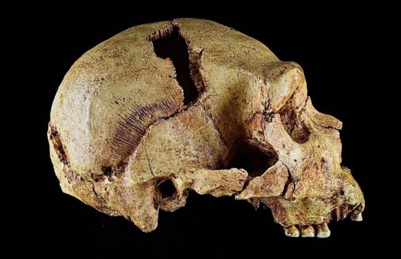 Archaeologists find Canterbury was home to earliest humans