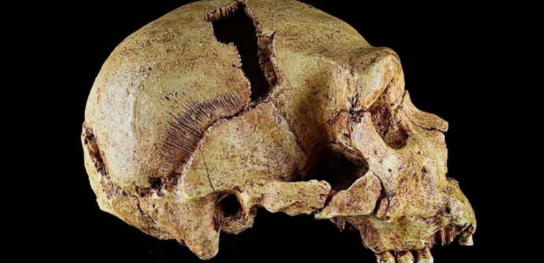 Archaeologists find Canterbury was home to earliest humans