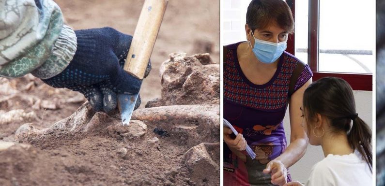 Archaeology students accused of being coddled after trigger warning over ‘dead body’ image