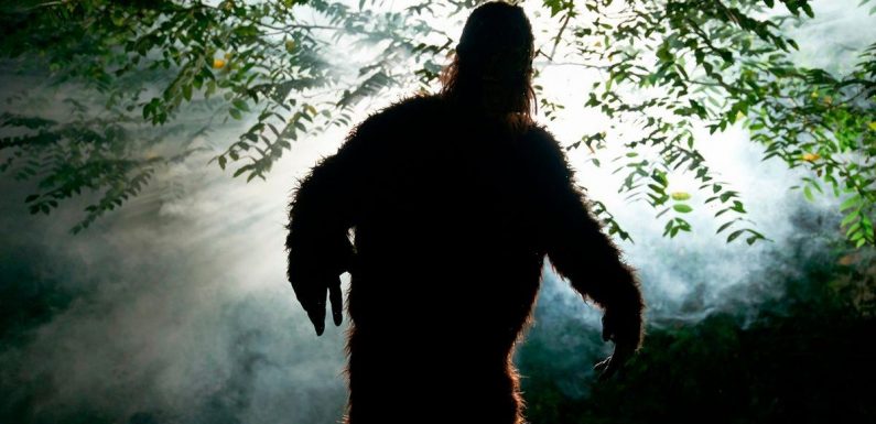 Bigfoot believers in frenzy over giant footprints spanning over 8inches wide