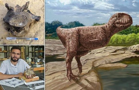 Bizarre 'bulldog-faced' dinosaur is unearthed in Egypt