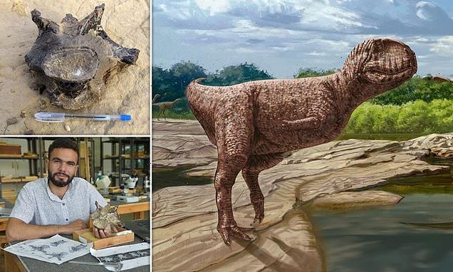 Bizarre 'bulldog-faced' dinosaur is unearthed in Egypt