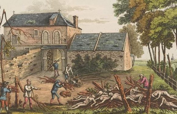 Bones from fallen Waterloo soldiers were stolen and sold as fertiliser