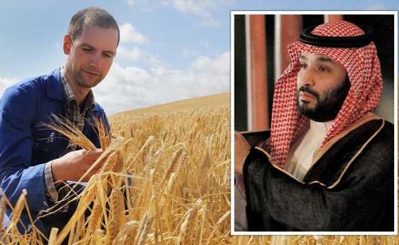 British farmers handed huge lifeline with new £33.1bn Gulf trade deal to SLASH tariffs