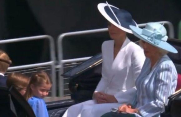 Camilla Duchess of Cornwall stuns in blue at Trooping the Colour