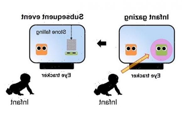Eight-month-old infants can punish antisocial behaviour, study says