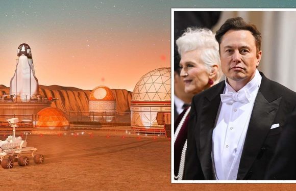 Elon Musk humiliated as scientist slams SpaceX CEO over ‘stupidest idea ever heard’