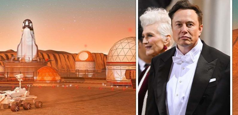 Elon Musk humiliated as scientist slams SpaceX CEO over ‘stupidest idea ever heard’