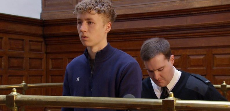 Emmerdale fans ‘work out’ Chloe dad twist as Noah’s sentence is unveiled on ITV soap