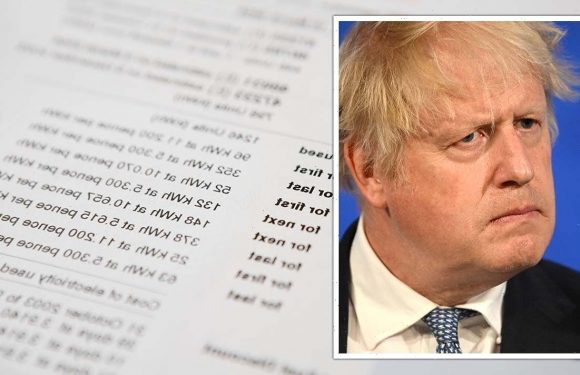 Energy crisis: PM ignored advice to scrap green tax and ease bills for millions