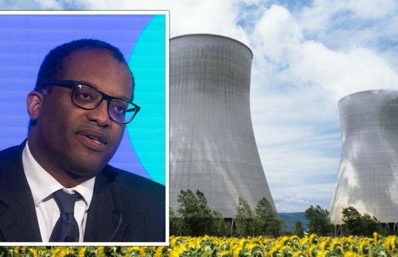 Energy crisis horror as EDF scuppers plan to delay reactor shutdown to prevent blackouts