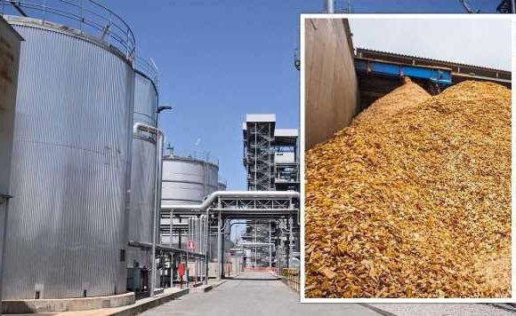 Energy crisis lifeline: South Korea poised to build biomass power plant