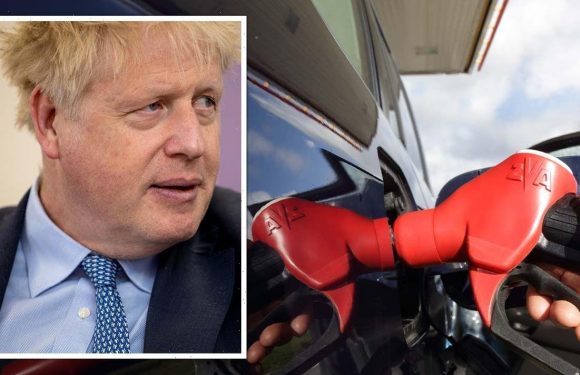 Energy crisis lifeline as UK launches £31m project to slash bills with ‘affordable energy’