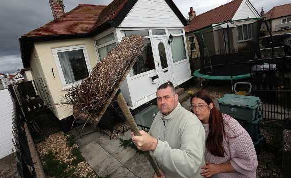 Family sieged by ‘psycho’ seagulls walk dog armed with parasol and brooms