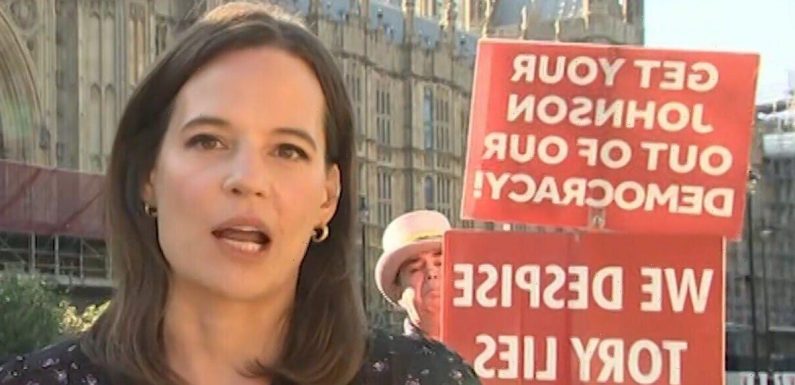 GMB viewers lash out as remainer protester disrupts live report ‘Get some security!’