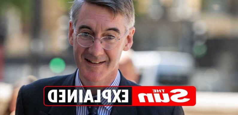 How many children does Jacob Rees-Mogg have? | The Sun