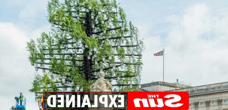 How many trees in the Tree of Trees at Buckingham Palace?