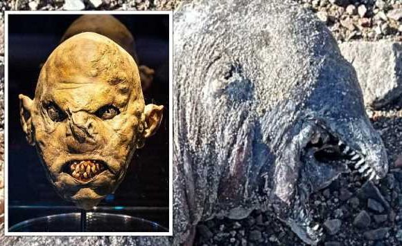 Mystery creature ‘like Lord of the Rings Orc’ washes up with TWO jaws and no eyes