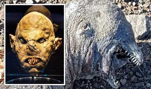 Mystery creature ‘like Lord of the Rings Orc’ washes up with TWO jaws and no eyes