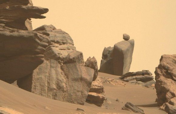 NASA baffled as Mars rover discovers mysterious rocks with ‘tonnes of potential’