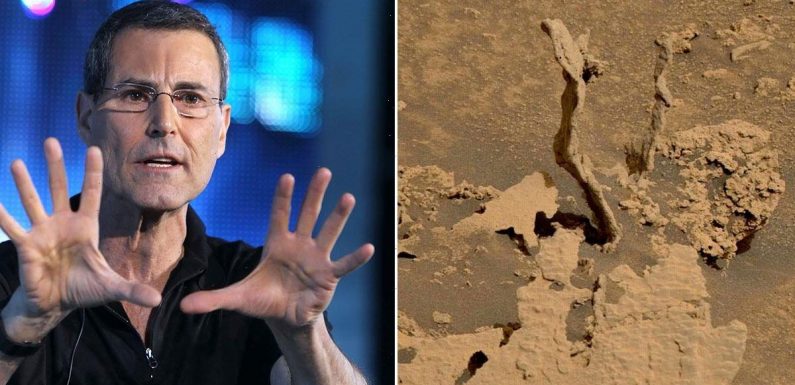 NASA lying about Mars rock towers – they’re remnants of crashed UFO says Geller