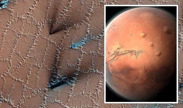 NASA spacecraft snaps bizarre ‘polygon’ shapes on Mars surface in stunning detail