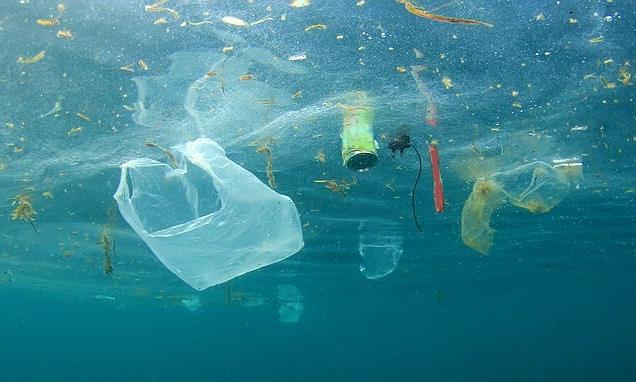 Ocean plastic pollution could provide antibiotics to fight superbugs