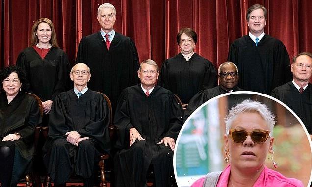 Pink directs message to fans who support SCOTUS abortion ruling