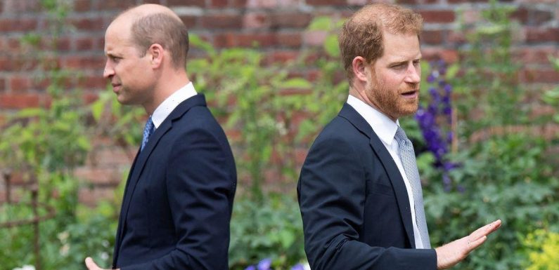 Prince William ‘mourning’ collapse of his and Harry’s relationship, reveals expert