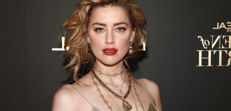 Scientific formula says Amber Heard has most beautiful face in the world