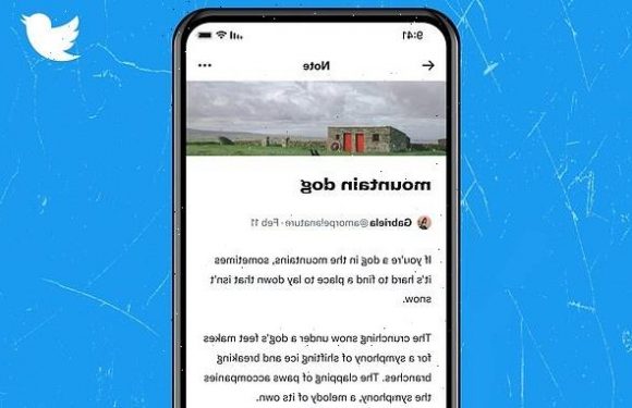 Twitter tests 'Notes' feature that lets users share 2,500-word posts