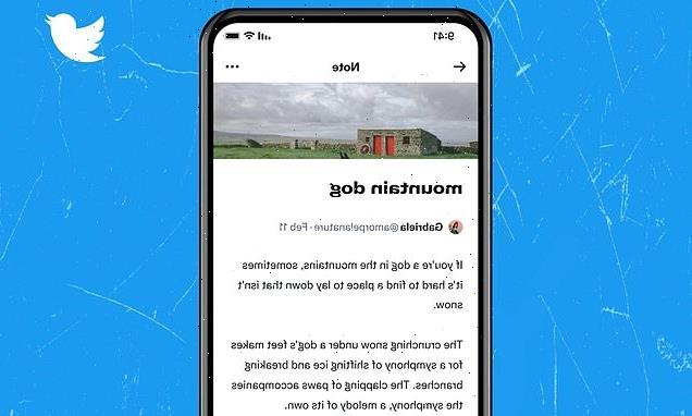 Twitter tests 'Notes' feature that lets users share 2,500-word posts