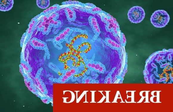 UK on red alert: Urgent investigation launched by UKHSA as POLIO detected in London