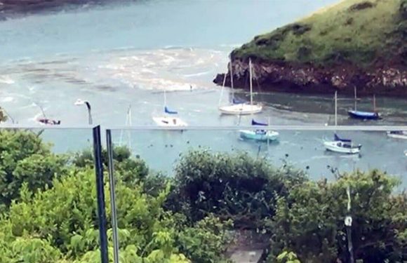 ‘Water was rushing out like a river’ Meteotsunami sees tide go wrong way in Welsh harbour