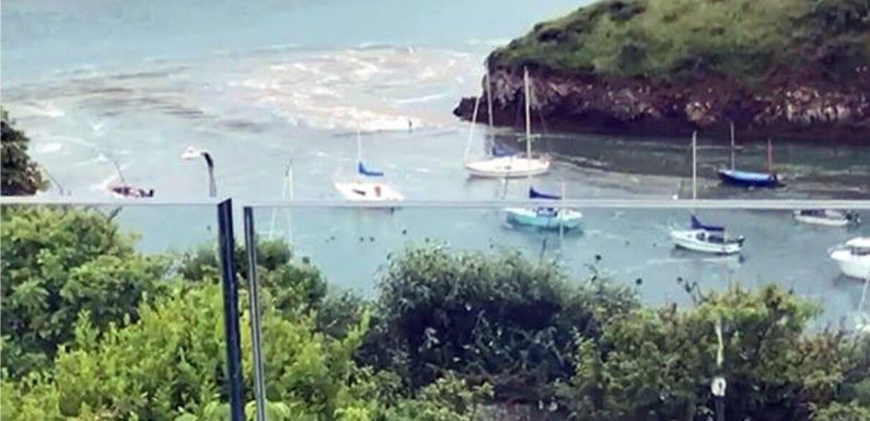 ‘Water was rushing out like a river’ Meteotsunami sees tide go wrong way in Welsh harbour