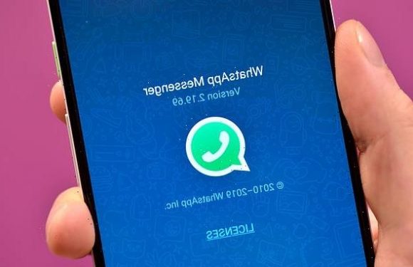 WhatsApp users can now transfer message data from Android to an iPhone