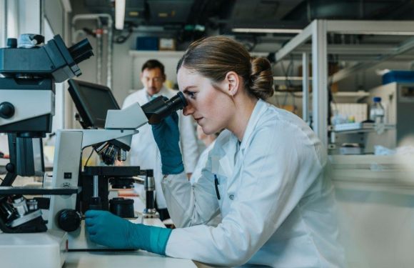 ‘Science superpower’ UK to invest £481million into world-class research infrastructure