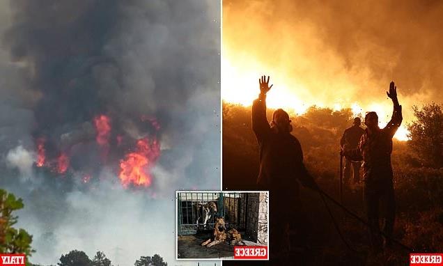 Athens suburbs are ravaged by wildfire fanned by gale-force winds
