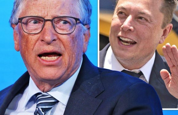 Elon Musk mocks Bill Gates over his ‘cheap and clean’ solution to energy crisis