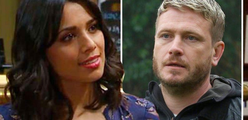 Emmerdale theory: Priya Sharma and David Metcalfe for affair in steamy reunion twist