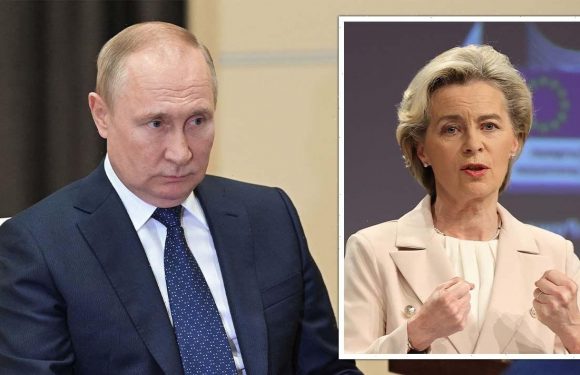 Energy crisis: Europe handed ‘endless low hanging fruit’ to end Putin’s winter nightmare
