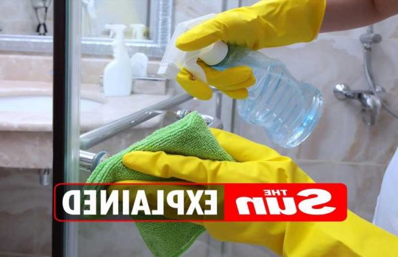 How to clean a shower including shower head, tiles and glass screen | The Sun