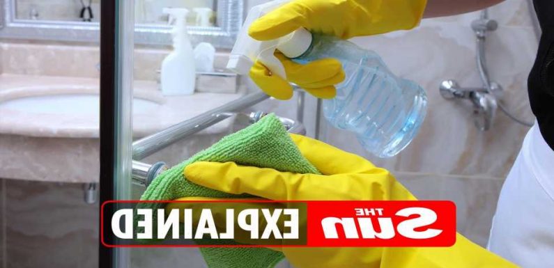 How to clean a shower including shower head, tiles and glass screen | The Sun