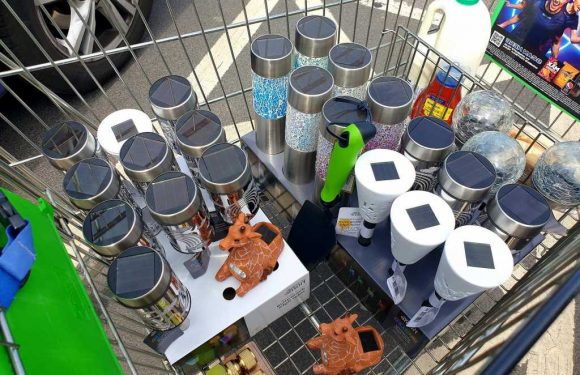 I spotted garden solar lights slashed to 50p in Asda – so I cleared 27 off the shelf quick as I could | The Sun