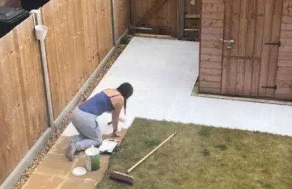 I transformed my garden for just £20 – it took less than a day and people are stunned at the results | The Sun