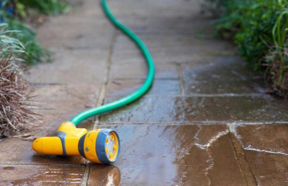 I’m a gardening expert – the jobs you HAVE to get done in your garden before the hosepipe ban comes in | The Sun