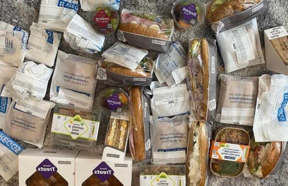 Mum-of-five shares easy way she bagged huge Greggs haul for just £7… and assures trolls NOTHING will go to waste | The Sun