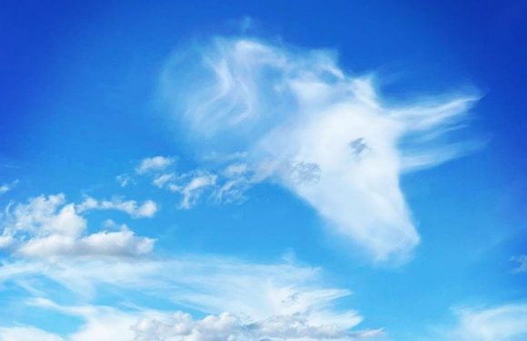 Mum spots a unicorn-shaped cloud floating above horse stables | The Sun