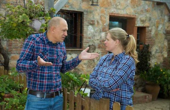 My neighbour is accusing me of cutting down his tree & even wants to report it to the police as theft, I'm fuming | The Sun