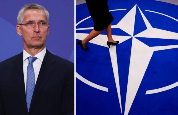 NATO cracks exposed: Call for members to be KICKED OUT as alliance ‘only inch deep’